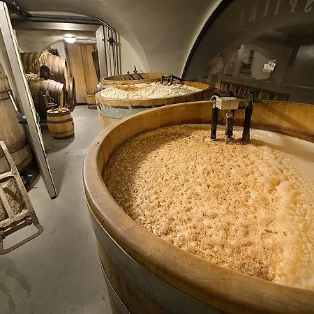 U Medvidku-brewery 3*