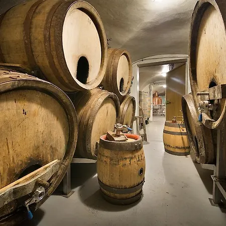 U Medvidku-brewery