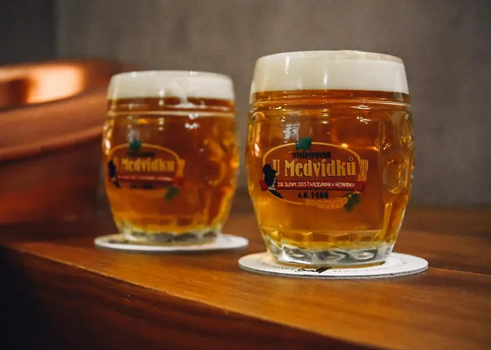 U Medvidku-brewery 3*