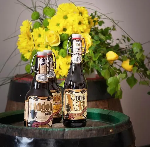 U Medvidku-brewery فندق براغ