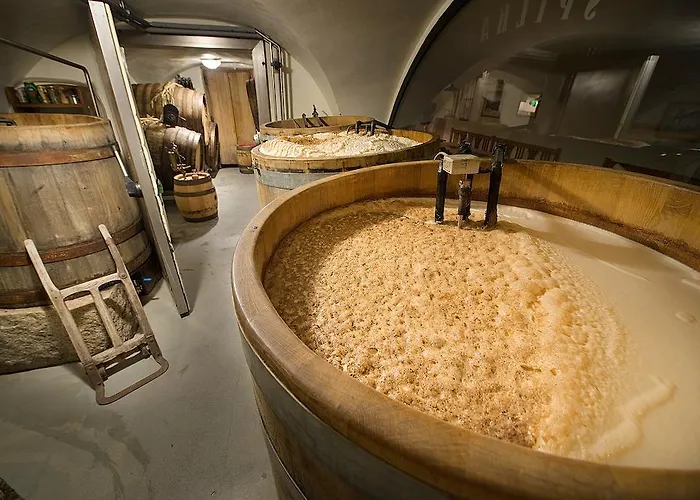 U Medvidku-brewery 3*