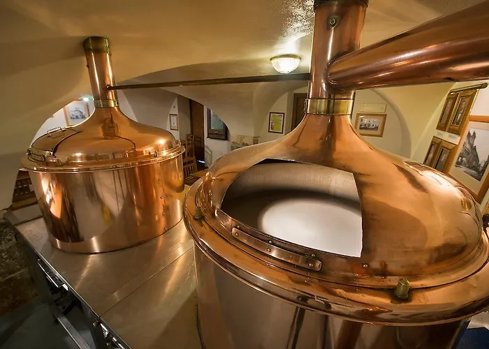 فندق U Medvidku-brewery