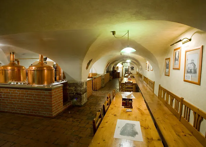 فندق U Medvidku-brewery 3*