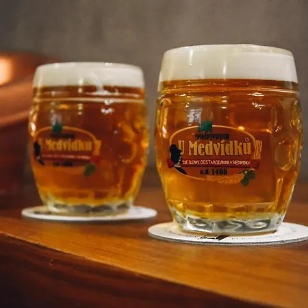U Medvidku-brewery 3*